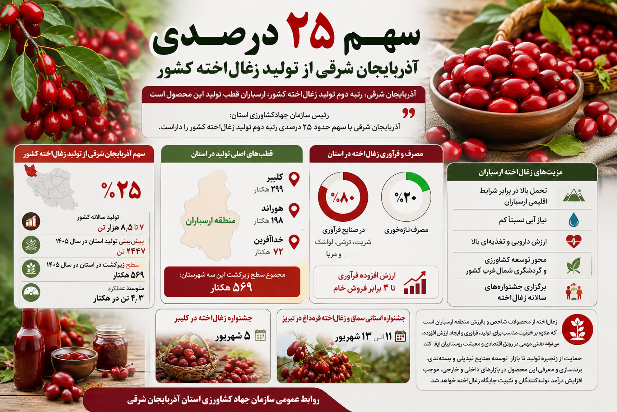  آذربایجان شرقی؛ رتبه دوم تولید زغال‌اخته کشور 